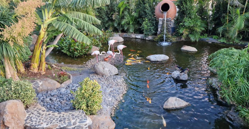 Zu Besuch im Bird Island Vogelpark