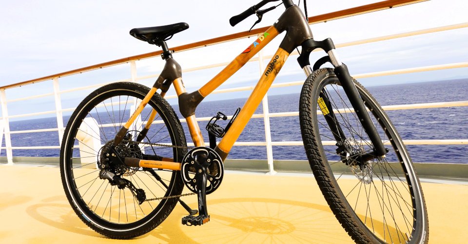 Mit dem Bike durch Japans Hauptstadt 