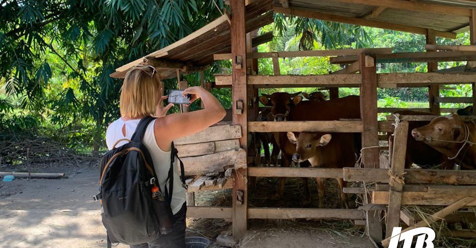TOUR OPERATOR GATEWAY - Visitor at Local Cattle Farm