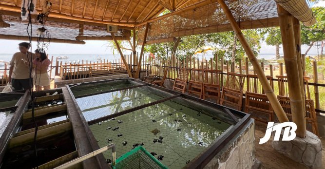 TOUR OPERATOR GATEWAY - Sanur Turtle Sanctuary