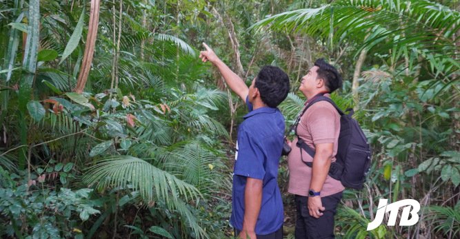 TOUR OPERATOR GATEWAY - Exploring the Tropical Rainforest with a Guide in the Heart of Bali Wilderness