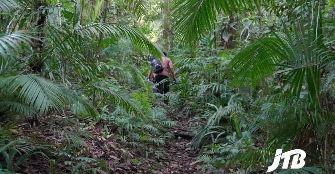 TOUR OPERATOR GATEWAY - Exploring the Dense Greenery of Bali’s Tropical Rainforest on a Guided Trek