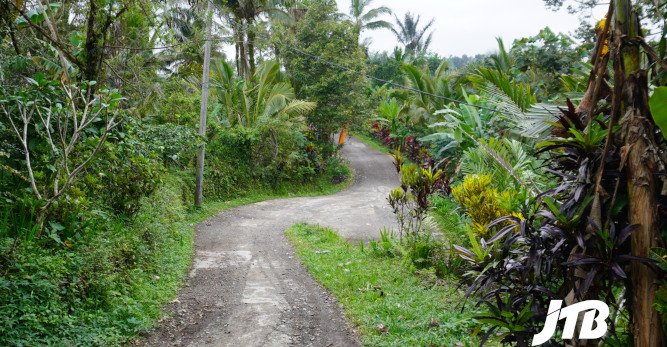 TOUR OPERATOR GATEWAY - Scenic Winding Pathway Through the Green Landscape of a Balinese Village