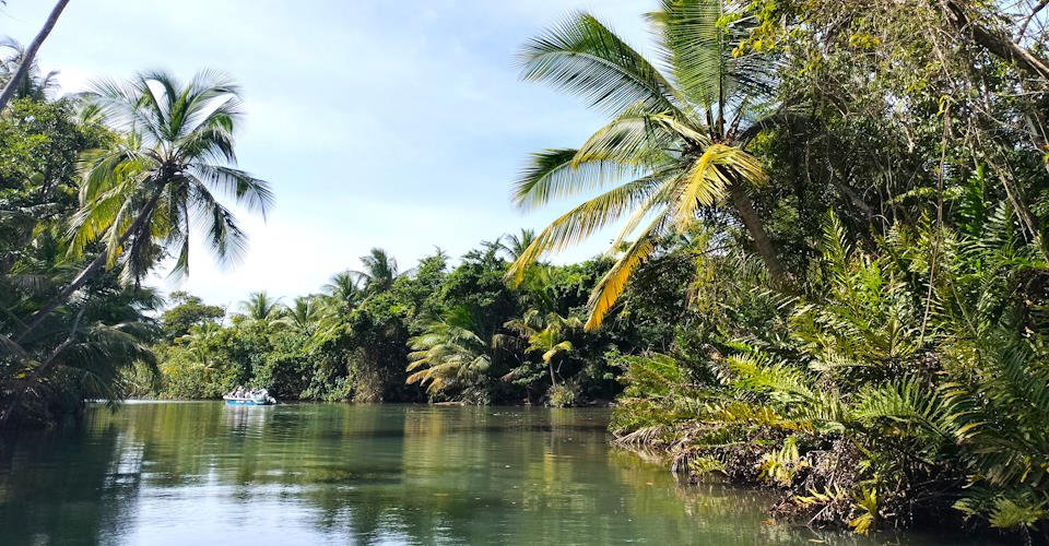 Mit dem Ruderboot über den Indian River