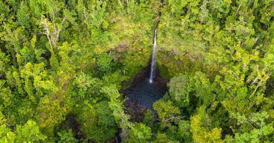 Dominica erleben: Wasserfälle, Heiße Quellen und der botanische Garten