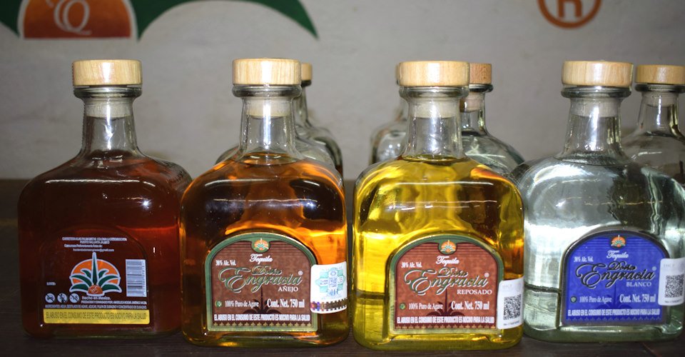 Tequila-Exkursion: Auf den Spuren des blauen Goldes in Mexiko