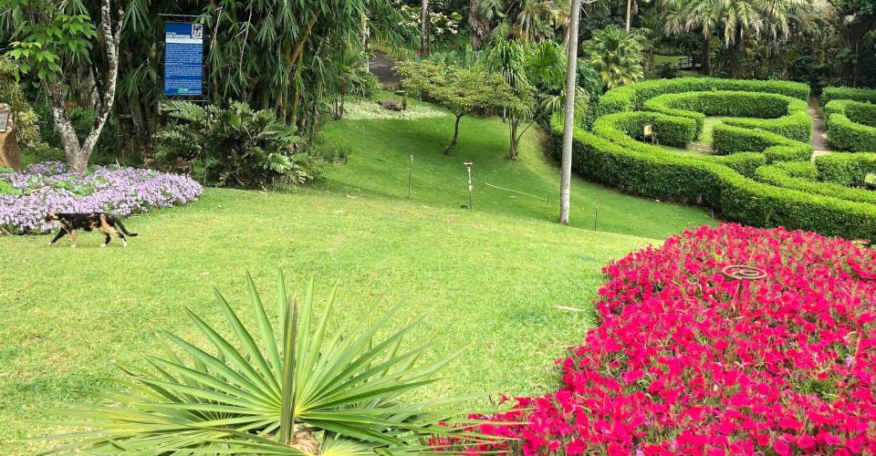 Beeindruckende Landschaften und Spaziergang durch einen botanischen Garten