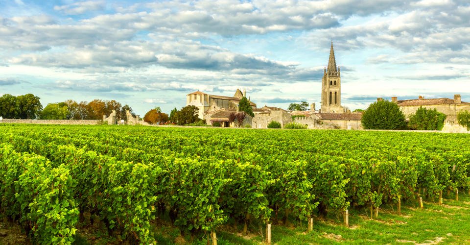 Vineyards of Saint Emilion, Bordeaux Vineyards in France in a sunny day