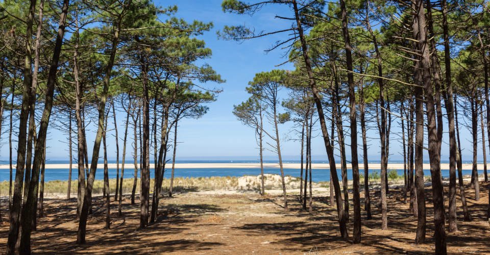 The pine forest of the Landes de Gascogne extends to the ocean, here facing the sandbank of Arguin at the foot of the dune of Pilat