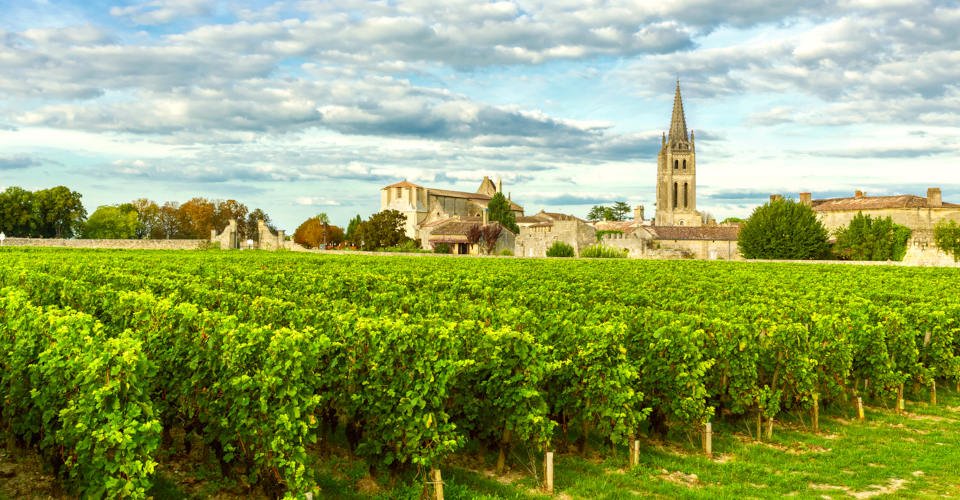 Vineyards of Saint Emilion, Bordeaux Vineyards in France in a sunny day