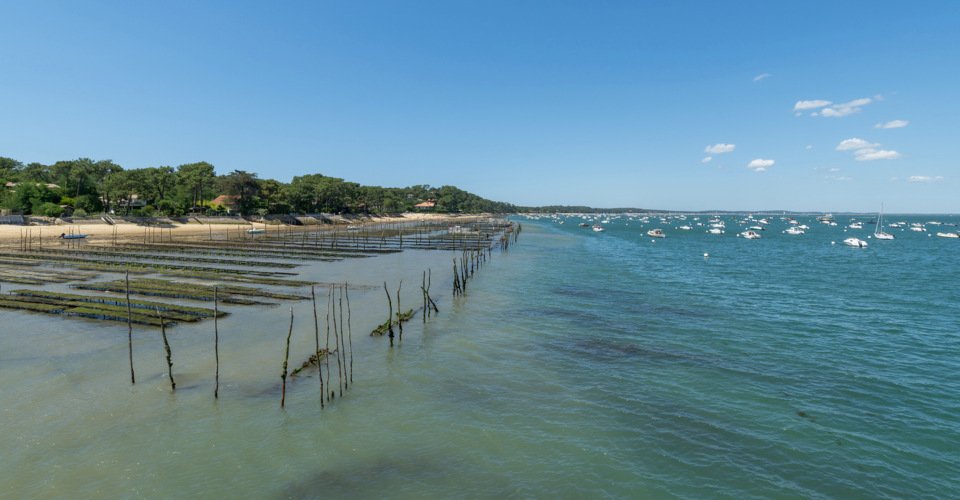 Oyster beds, beach and view over the bay