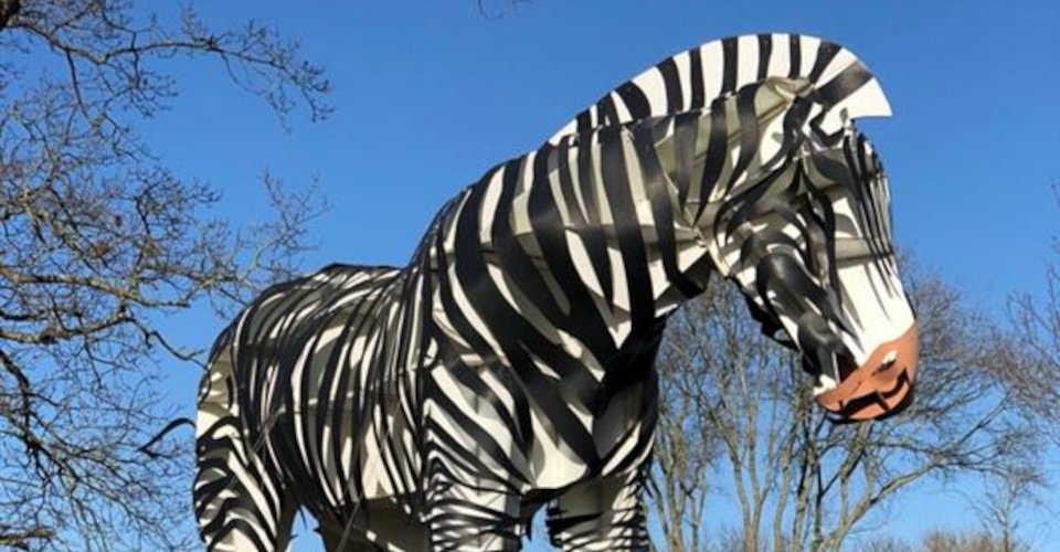 Abenteuer im Marwell Zoo