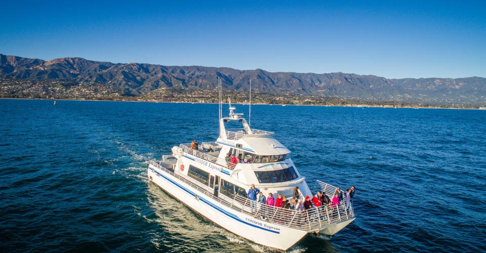 Santa Barbara, California , Condor Express Whale Watching Tour
