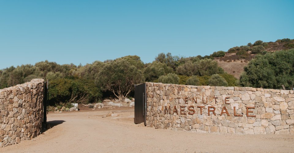 Weinverkostung auf dem Weingut Tenute Maestrale
