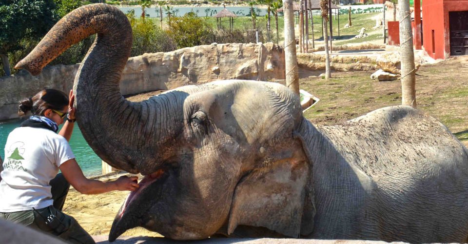 Tierpark Terra Natura in Bernidorm