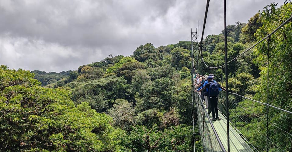 Entdeckungsreise durch den Treetopia Park