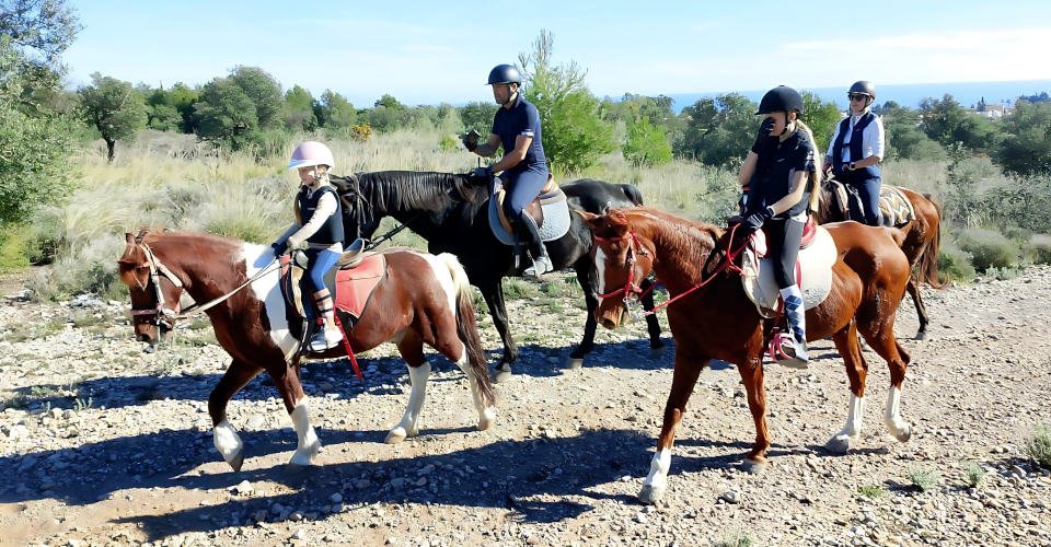 Andalusiens Charme auf dem Rücken der Pferde entdecken