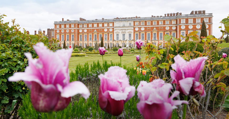 Privy Garden with South Front in the background. 
Photos taken at Hampton Court Palace for a marketing evergreen photoshoot.