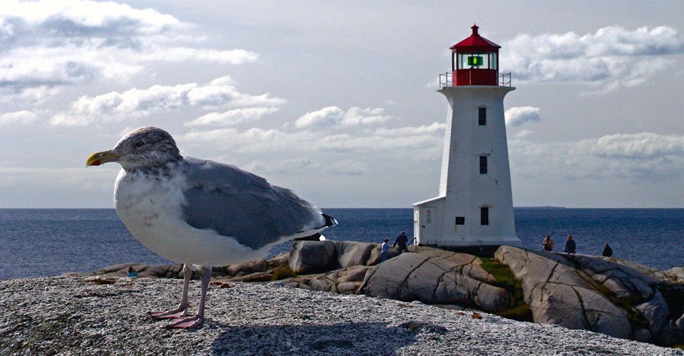 Halifax zu Wasser und zu Land