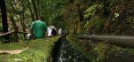 Hikingtour durch La Palmas Urwälder