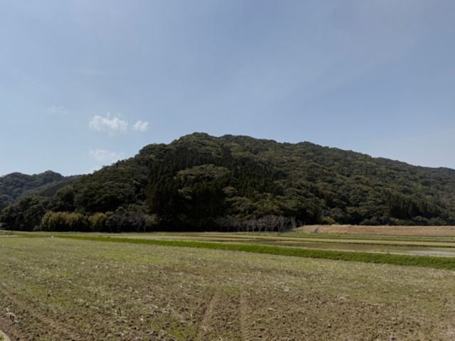 ABRB04_B01_Reisfelder_ST_2025_quer_002.JPG