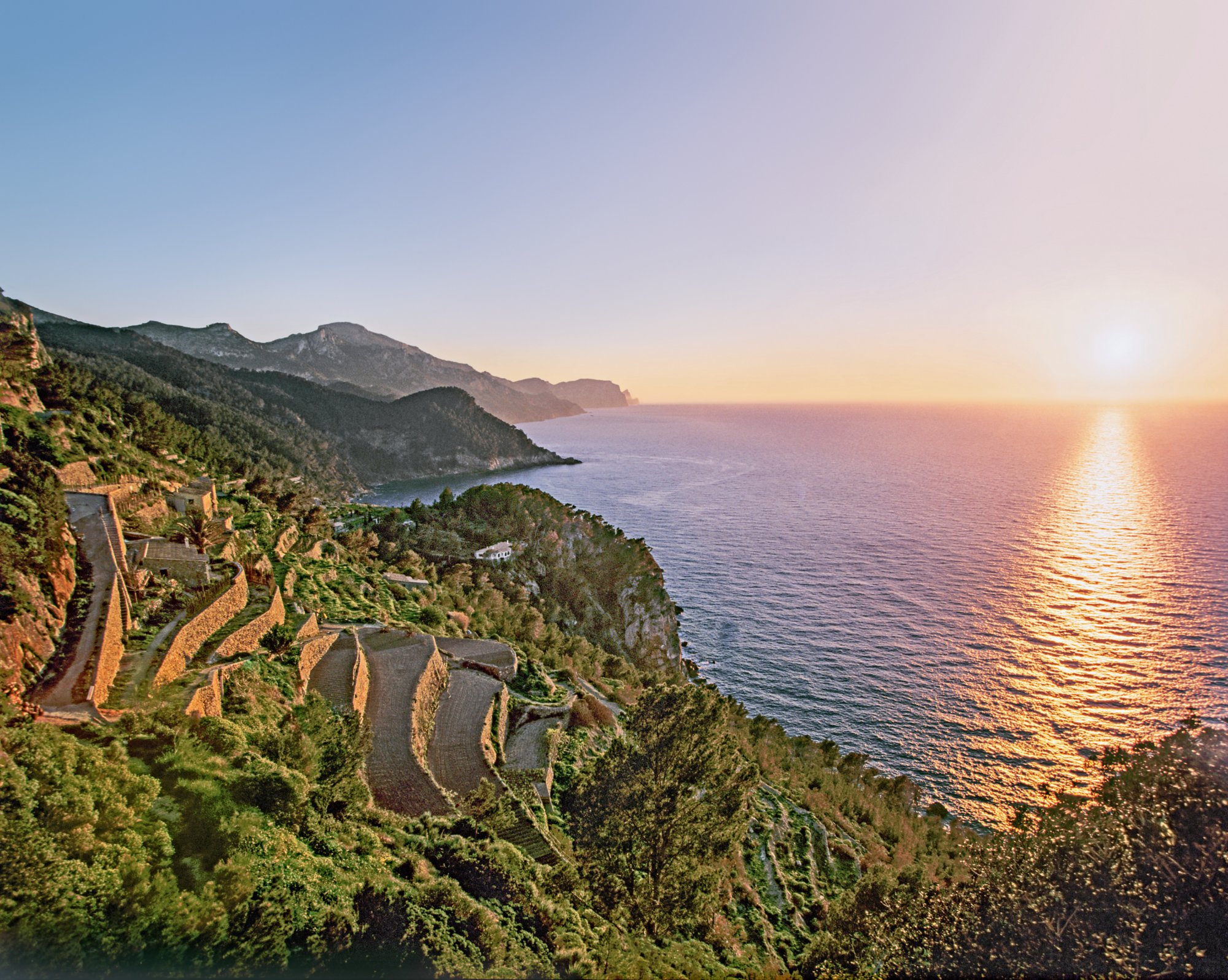 Grüne Küstenlandschaft links im Bild mit Blick auf Meer im Sonnenuntergang rechts im Bild