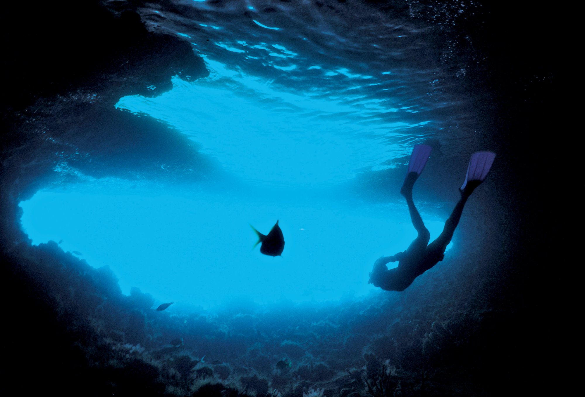 DIVE_33B