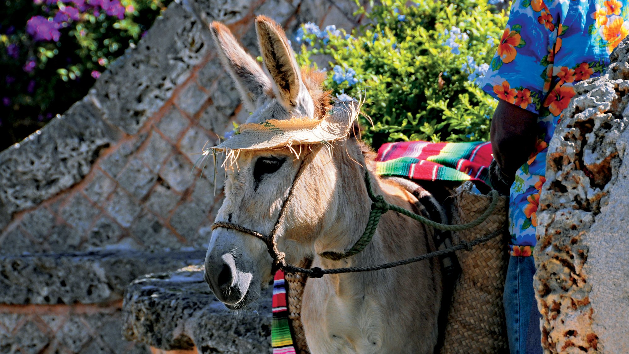 Das Dorf Altos de Chavón