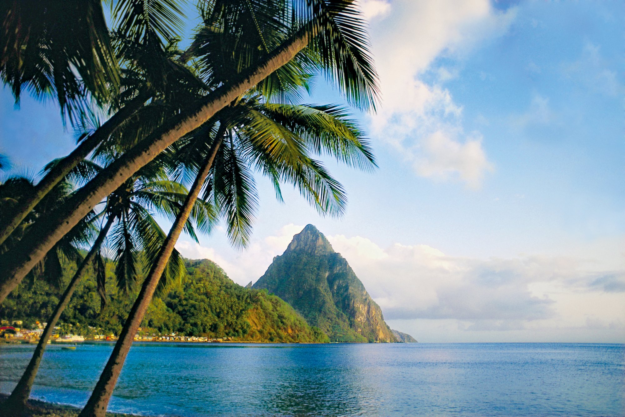 Natur pur auf St. Lucia