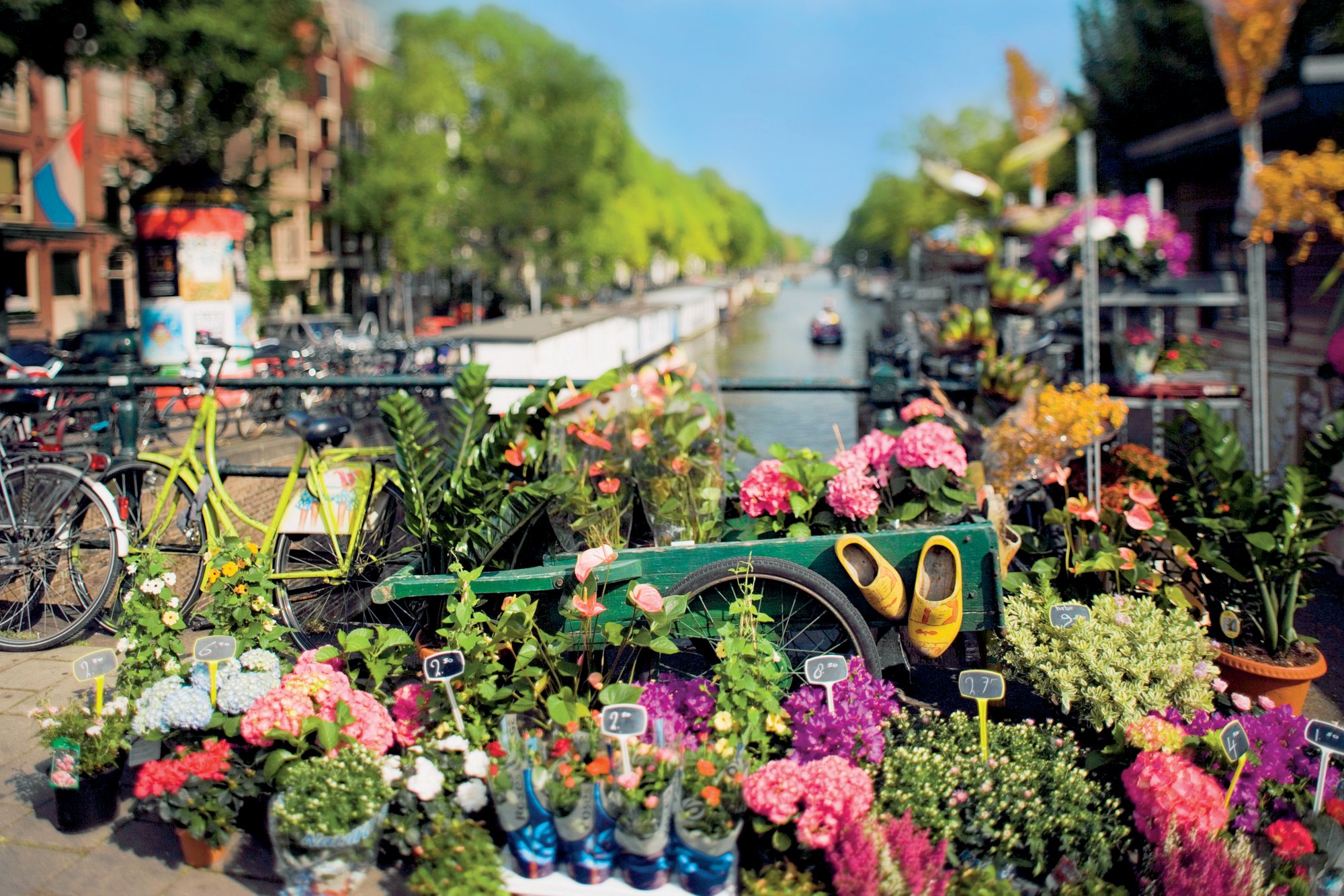 Flower stall with view down Princengrecht Canal