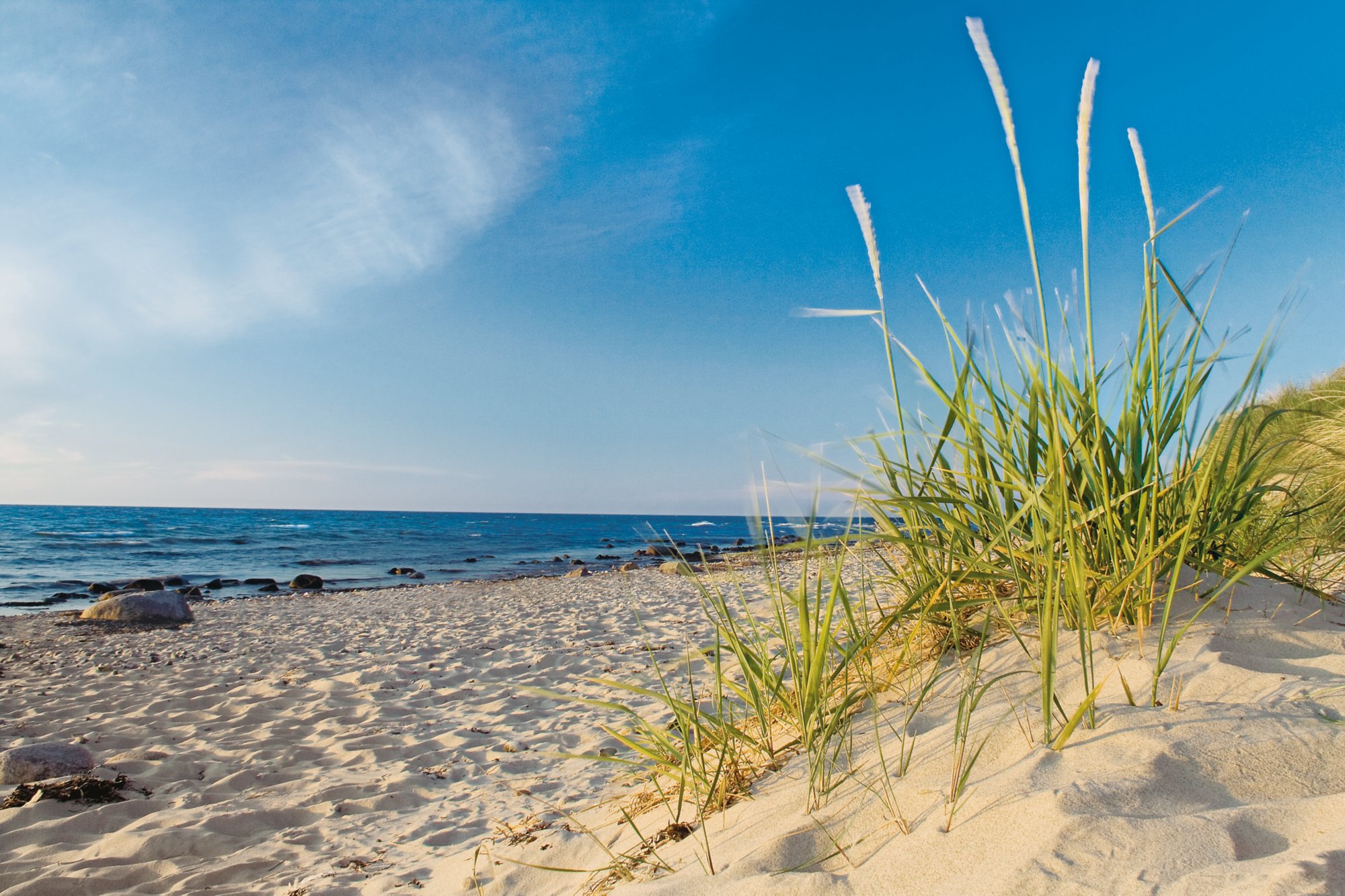 Dünenstrand an der Ostsee