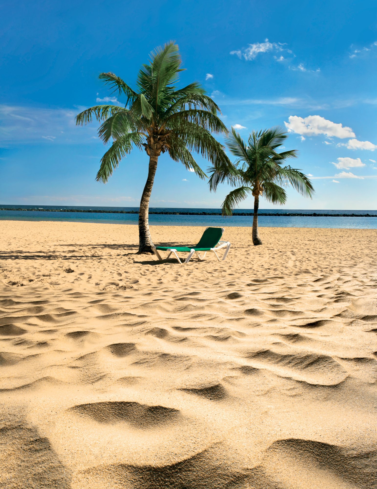 Palmen am Strand auf Teneriffa