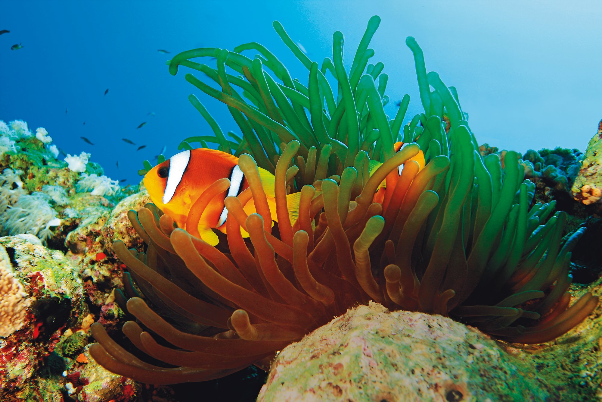 Museum of Tropical Queensland