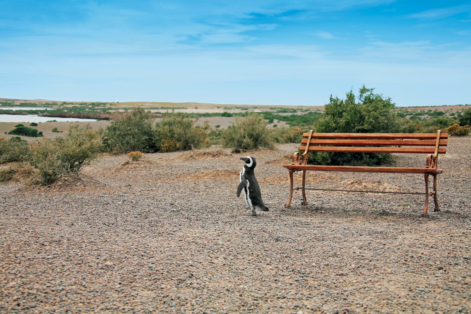 Ausflug nach Punta Tombo