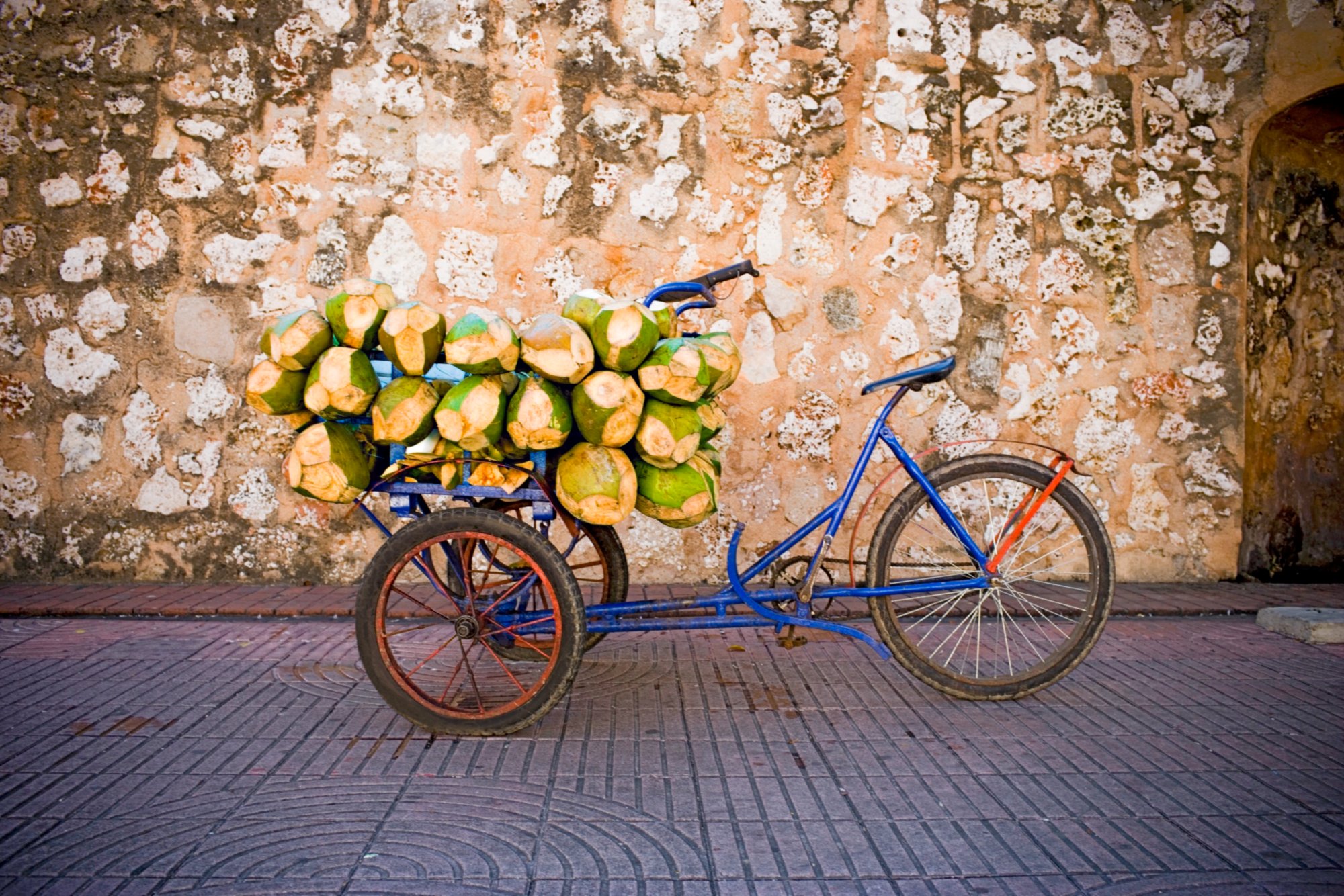 Coconuts in a rickshaw, Santo Domingo, Dominican Republic