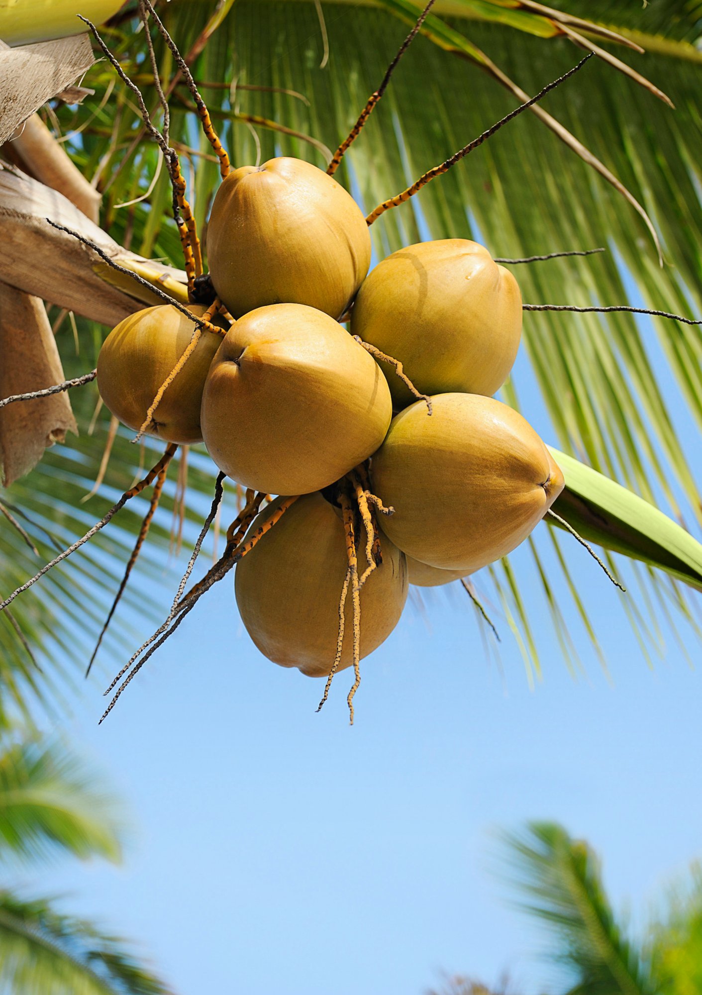 Salalah erleben