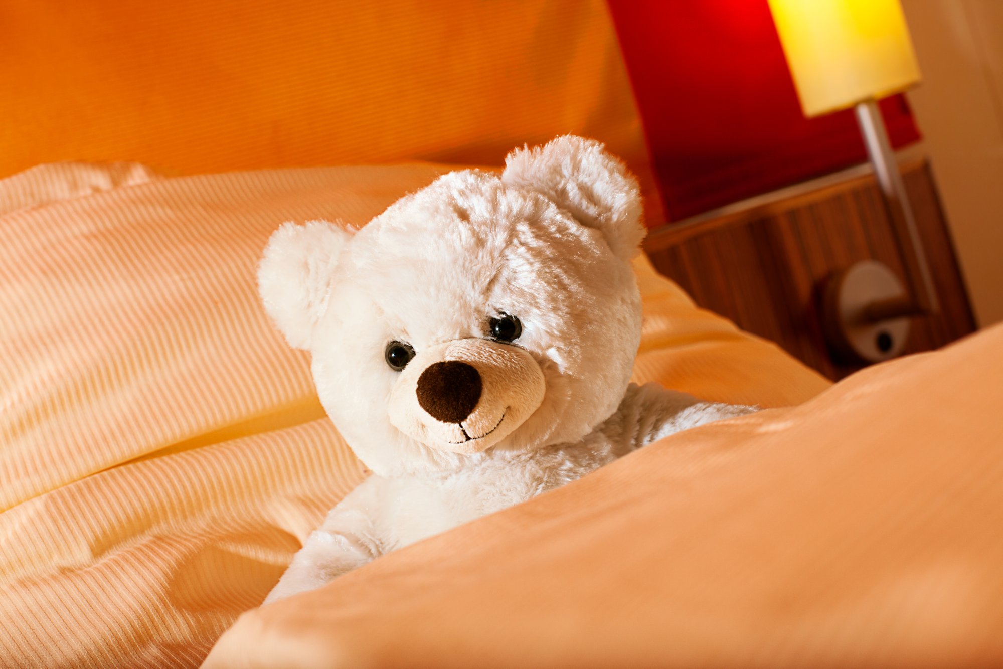 Weißer Teddybär