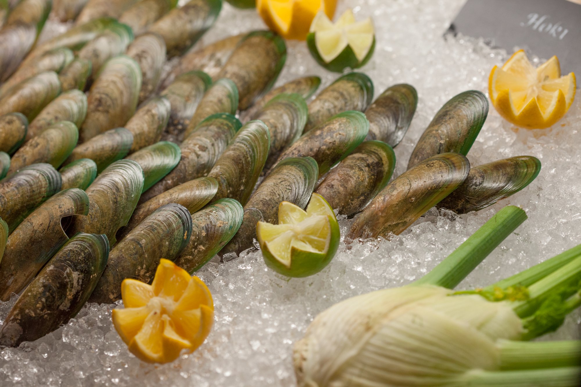 Muschelfarmen der Sounds