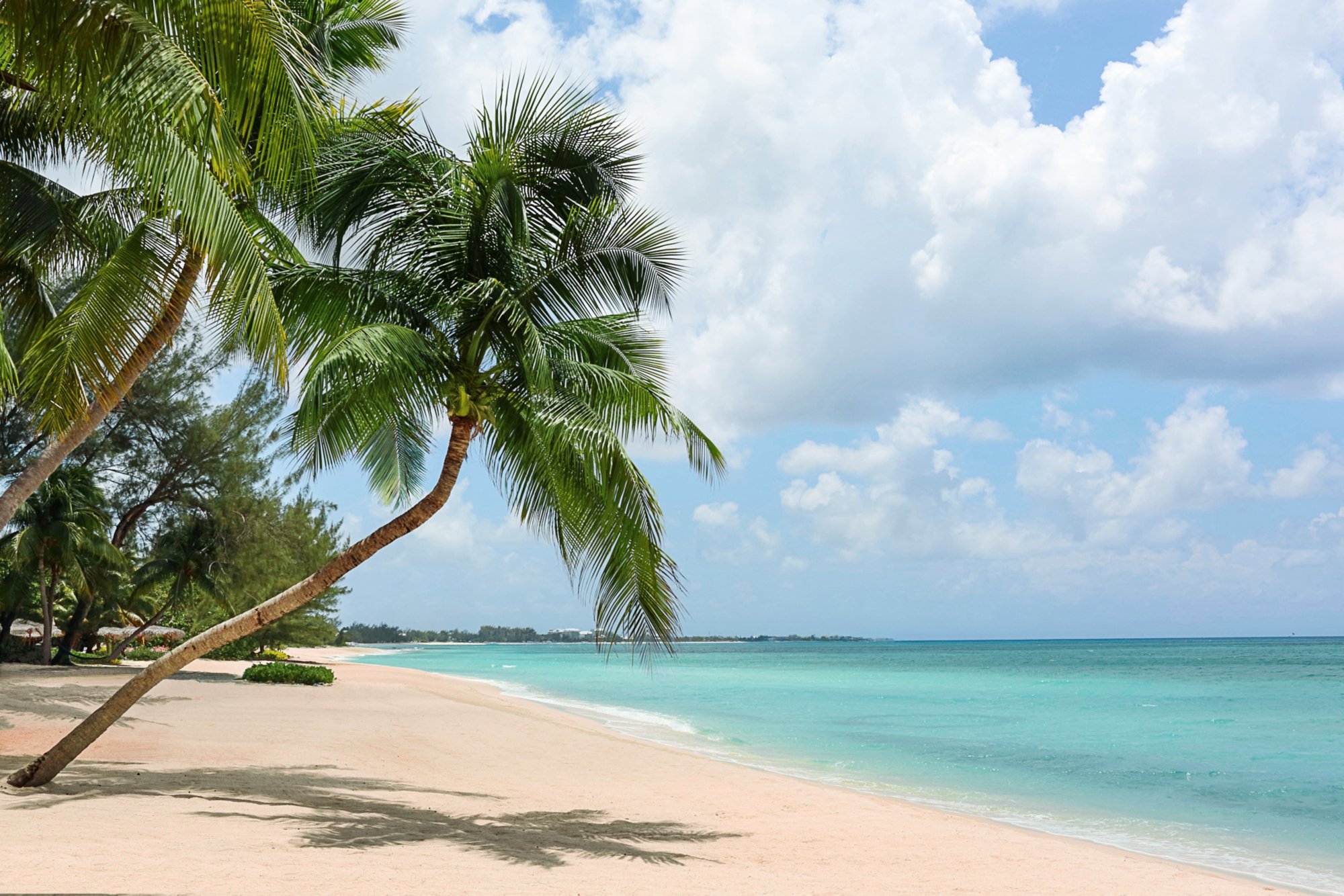 Caribbean Beach