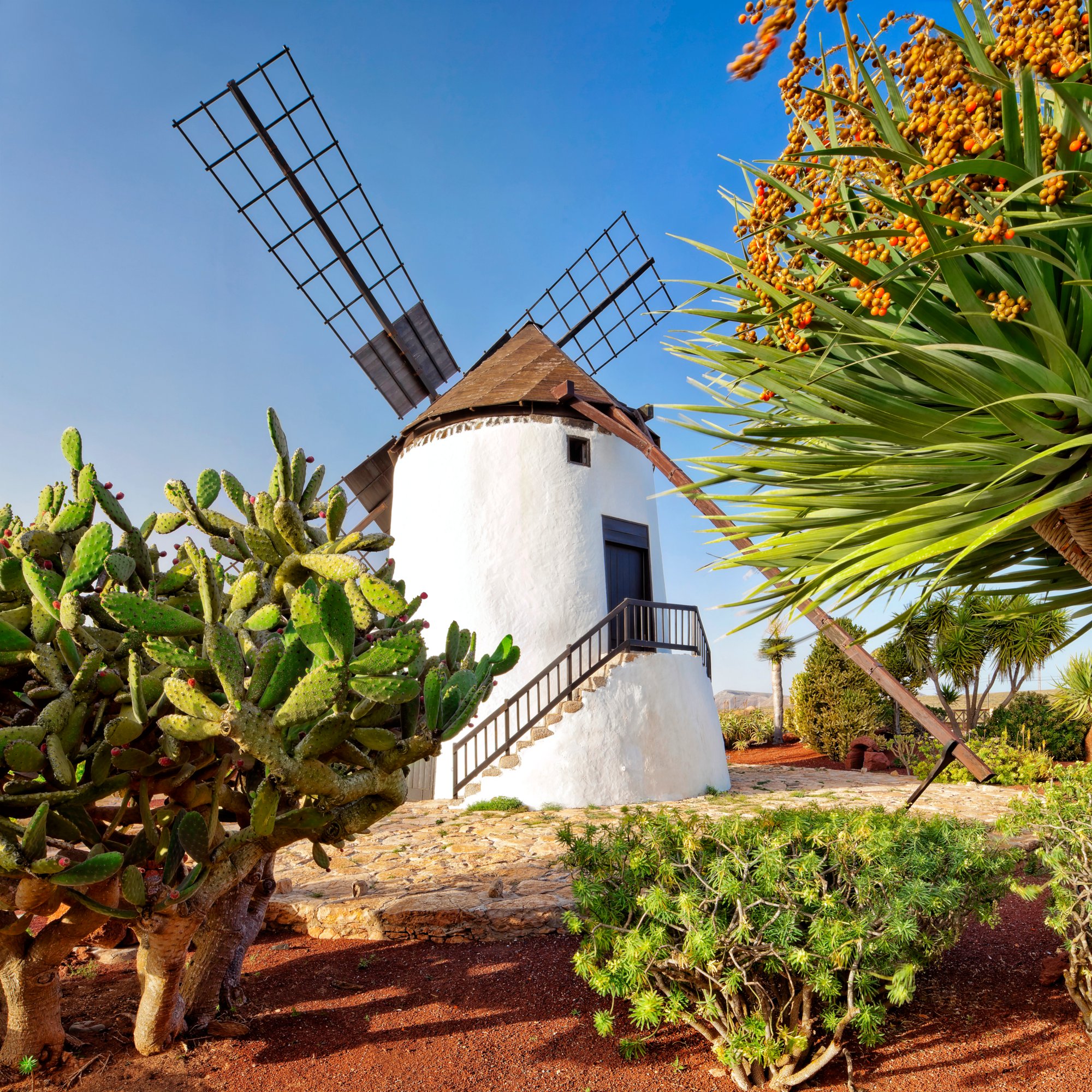 Windmühle auf den Kanaren
