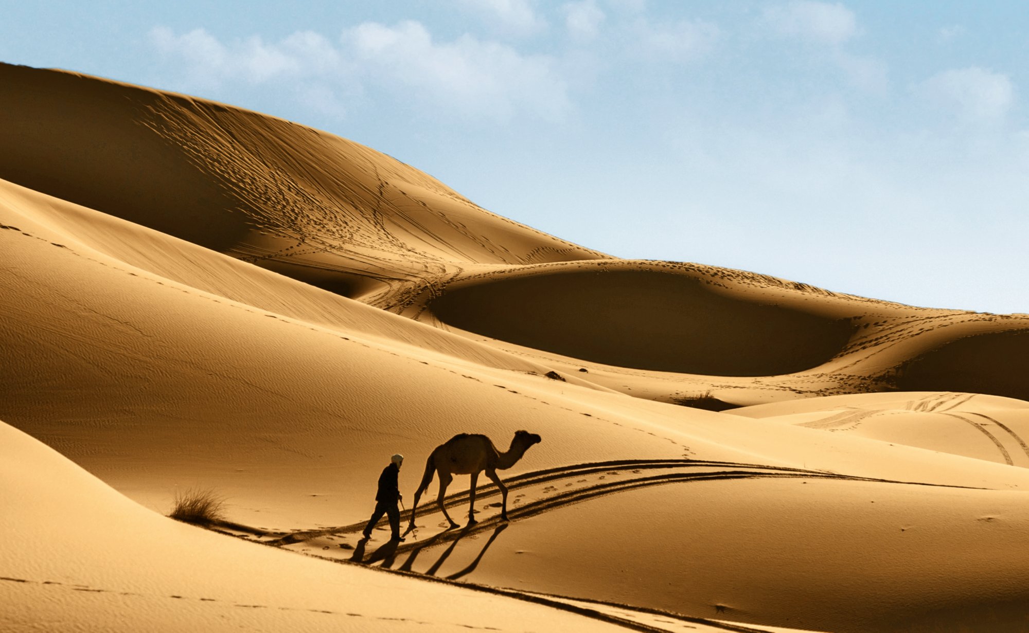 Mit AIDA auf Afrika Rundreise gehen