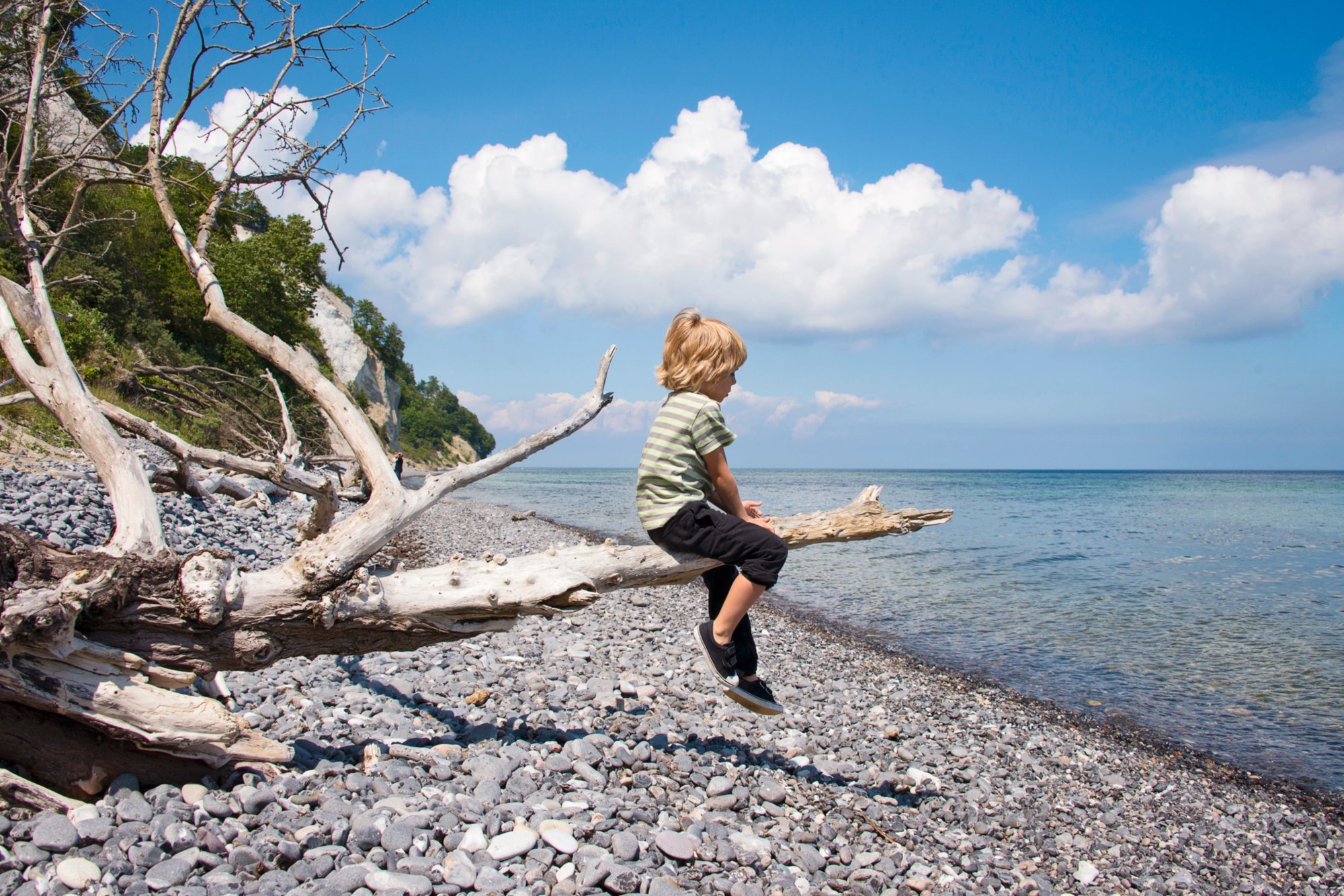 Mons Klint  or the Cliffs of Mon are a 6 km stretch of chalk cliffs along the eastern coast of the Danish island of Mon in the Baltic Sea
Boy (6-7) resting on tree trunk, Baltic Sea, Denmark
