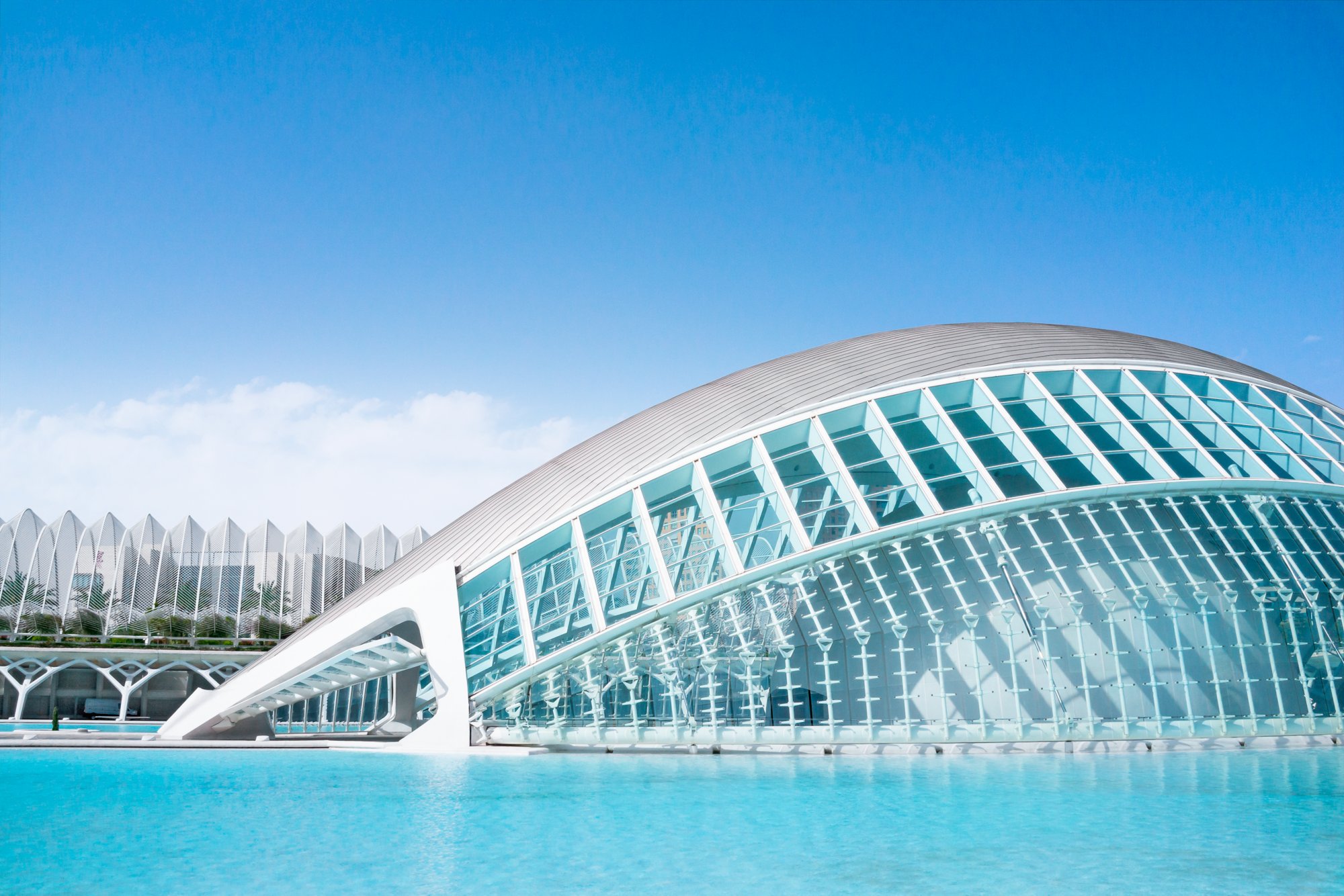 The City of Arts and Sciences ( Ciudad de las Artes y las Ciencias ) is a famous entertainment and cultural complex in the centre of Valencia city. Designed in a futuristic style by Santiago Calatrava and Felix Candela. The complex includes a cinema, science museum, aquarium, exhibition hall, opera and a unique suspension bridge.