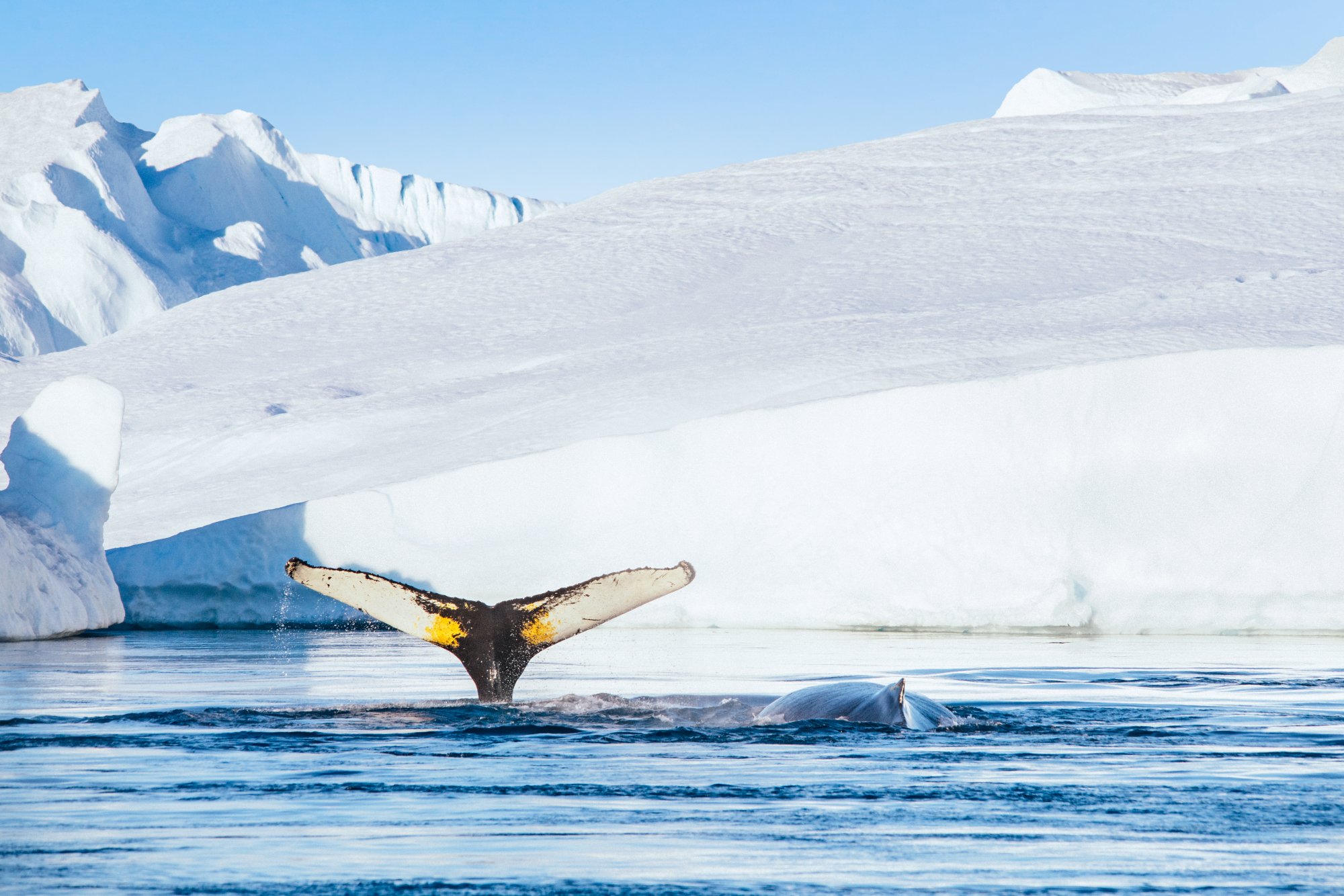 Sisimiut im Winter