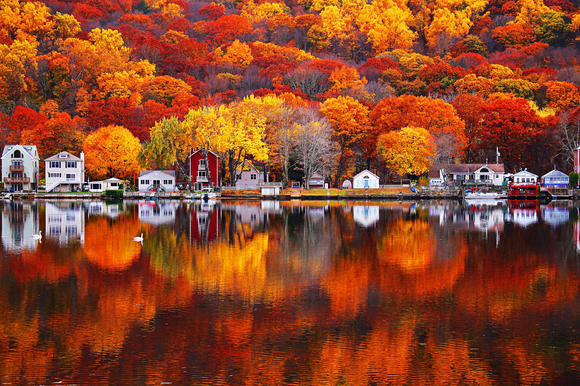 500px Photo ID: 172462967 - In honor of the most colorful season's commencement in just a week. I can't wait to get out there and shoot some more incredible New England foliage.