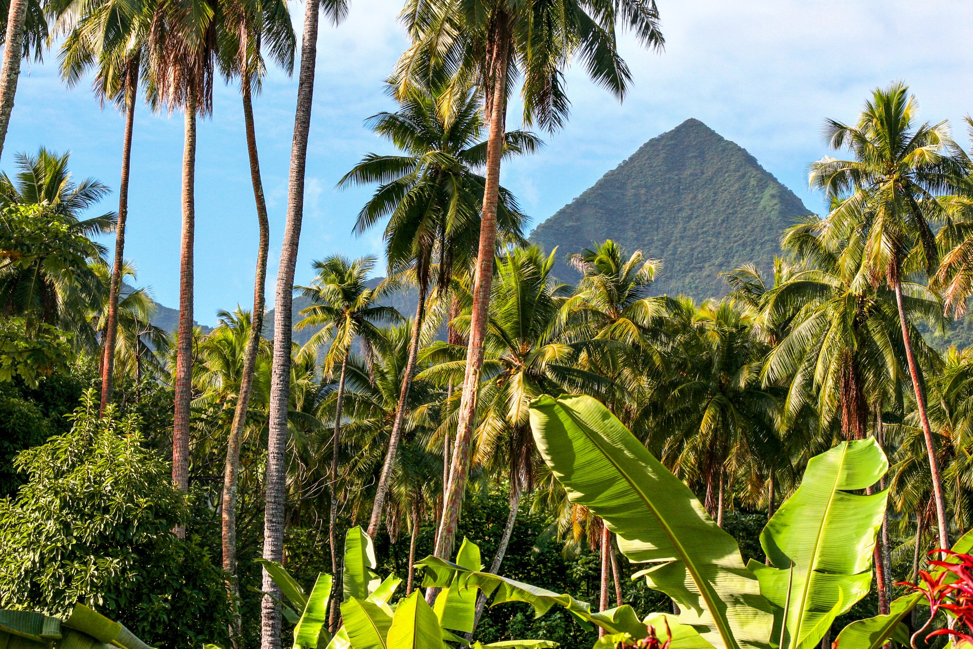 Wandern im Faaroa-Tal