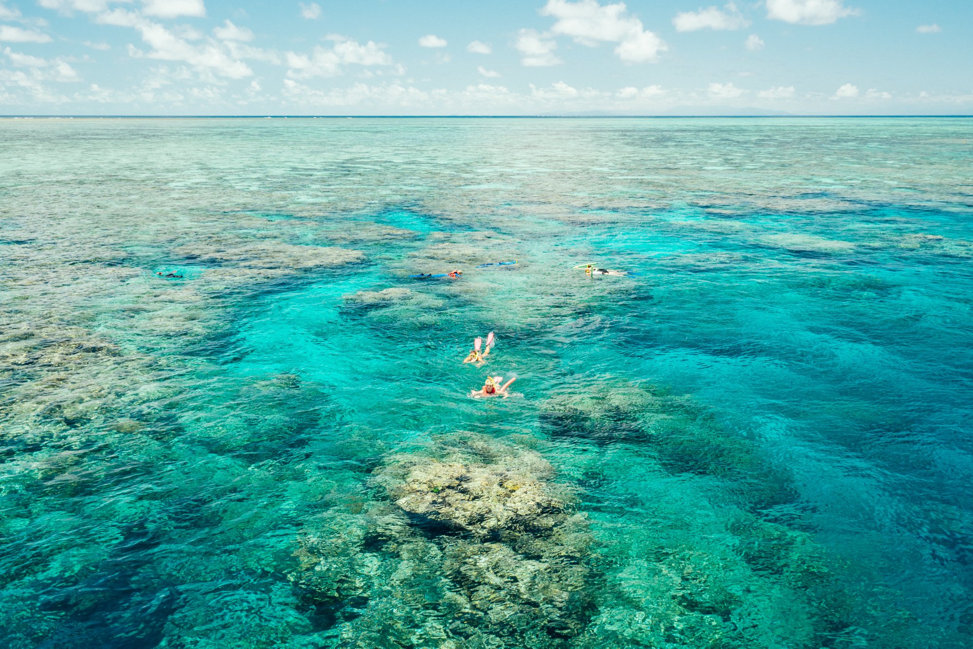 Whitsunday Schnorcheln