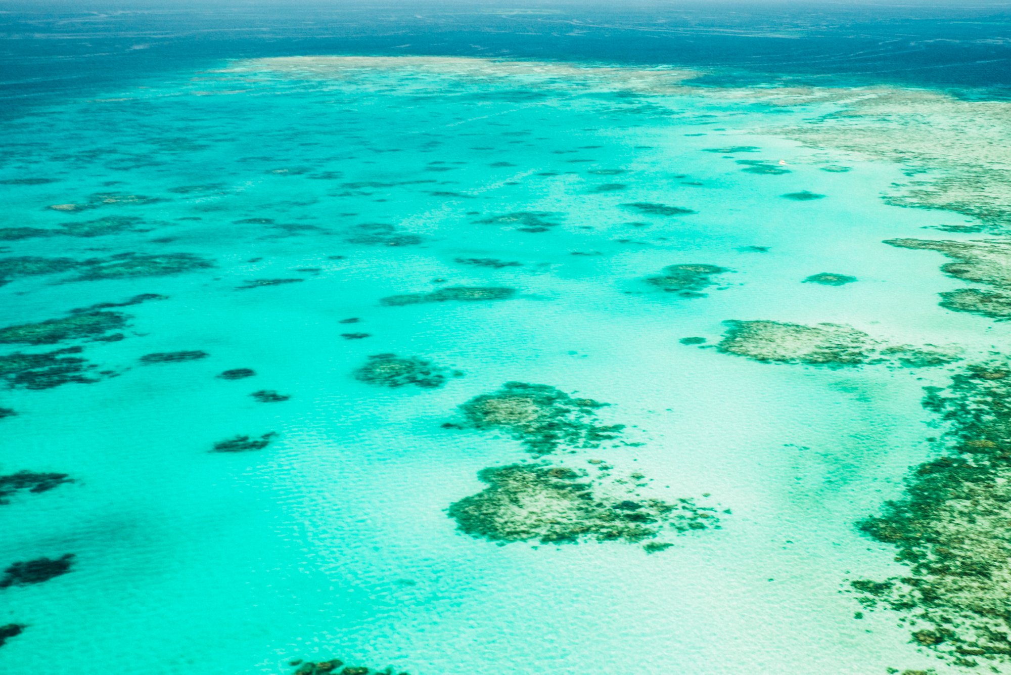 Tour zum Great Barrier Reef