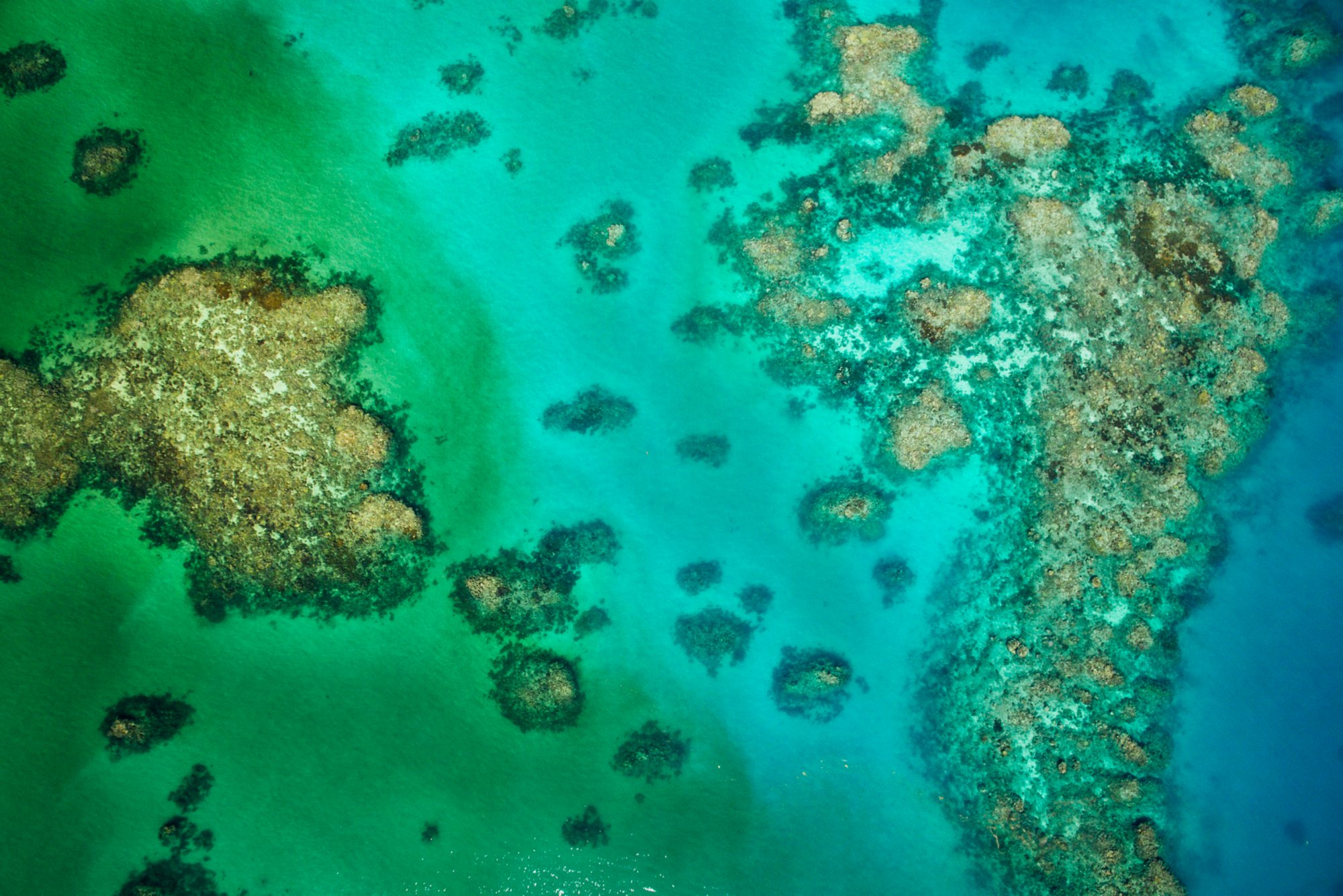 Flanieren auf “The Strand” 