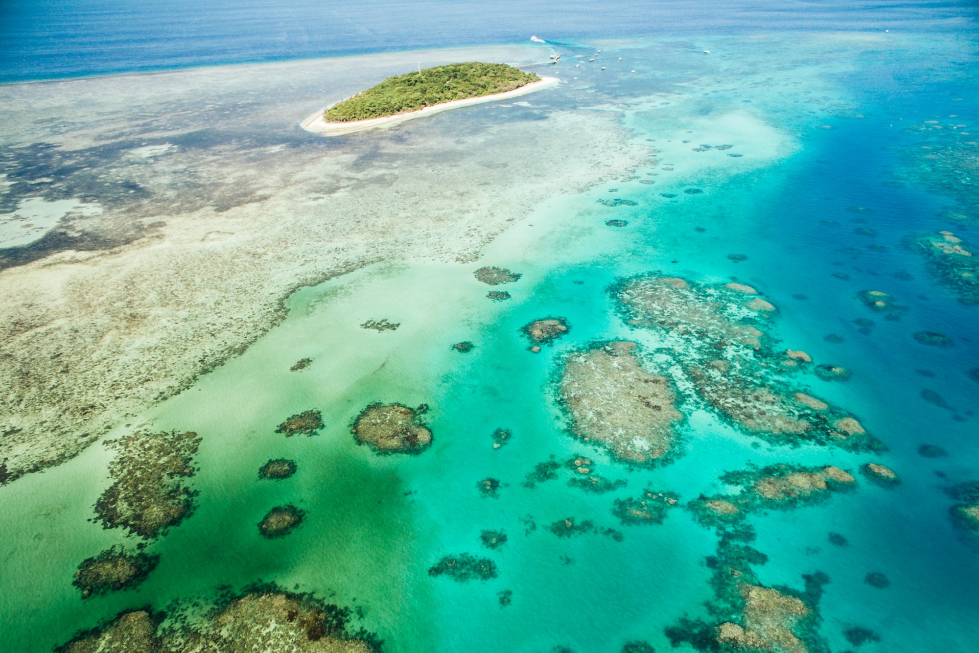 Sailing trip to the Great Barrier Reef